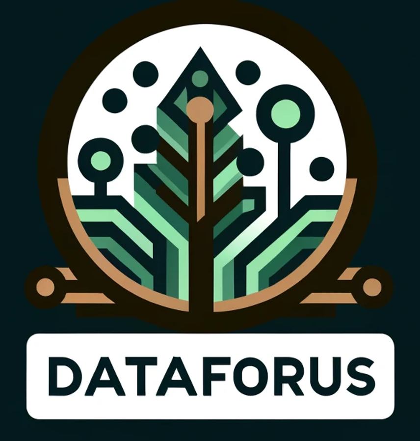 DataForUS Logo